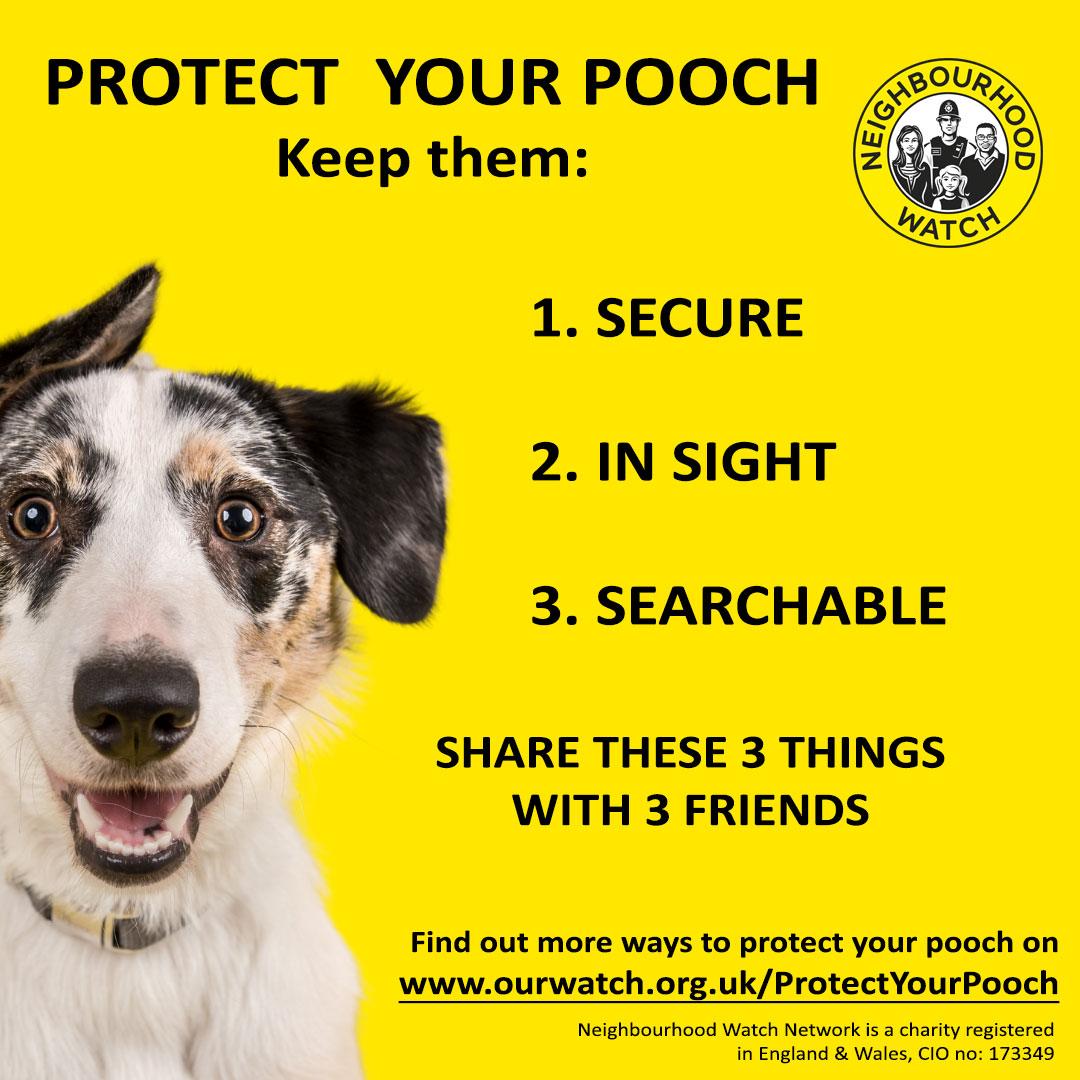 Protect your pooch