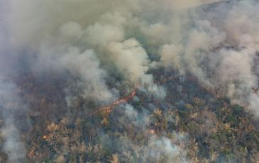 Image shows a wildfire going through a forest with lots of smoke