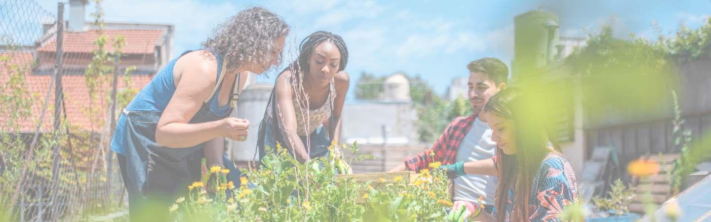 Women gardening
